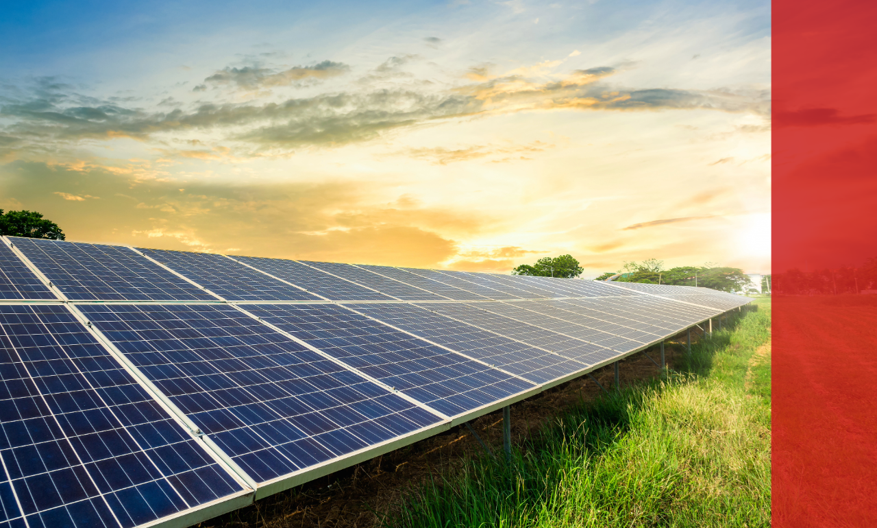 Toshiba Shifts to 100% Renewable Energy for Key Semiconductor Fabs in Japan